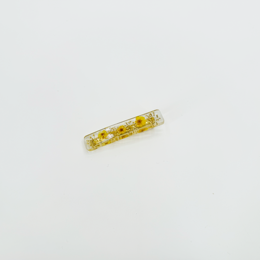 Hairclip HBS00343