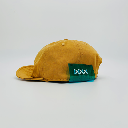 Cap LIJ00002